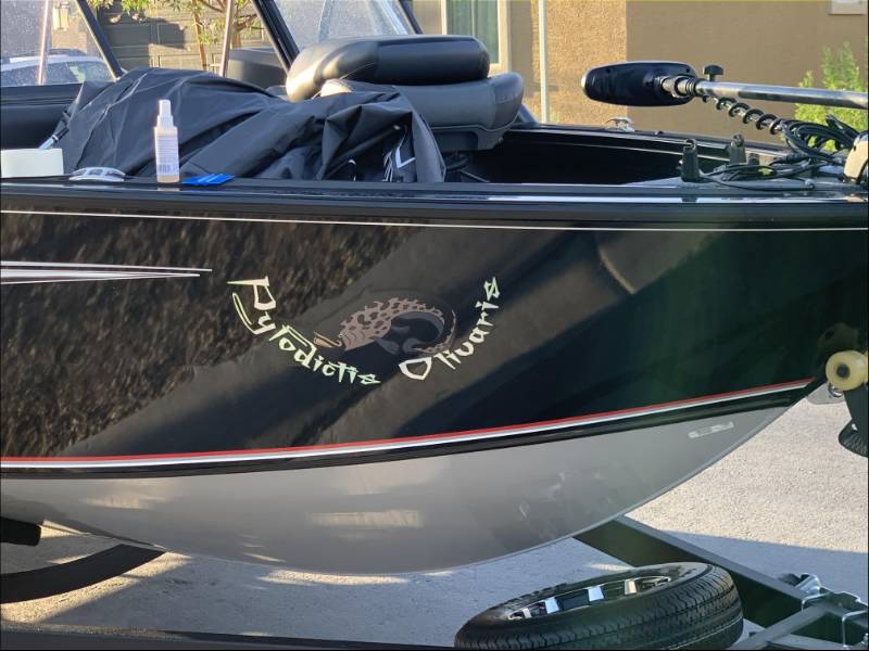 2020 V-19 Targa Boat Lettering from Richard J, NV