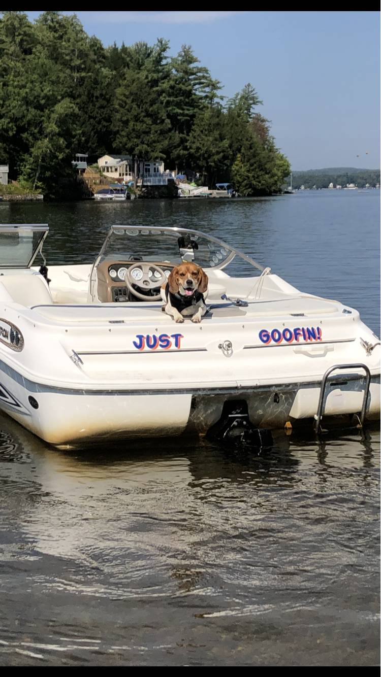 Glastron  Boat Lettering from Jeffrey M, MA