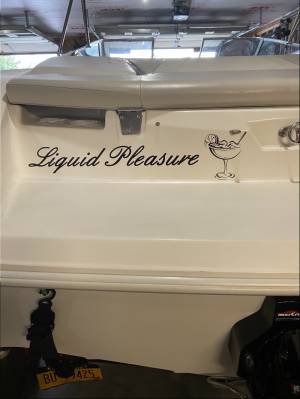 2006 Larson Senza Boat Lettering from David B, NY